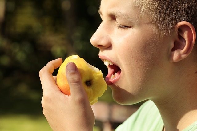 bite-off-383328_640