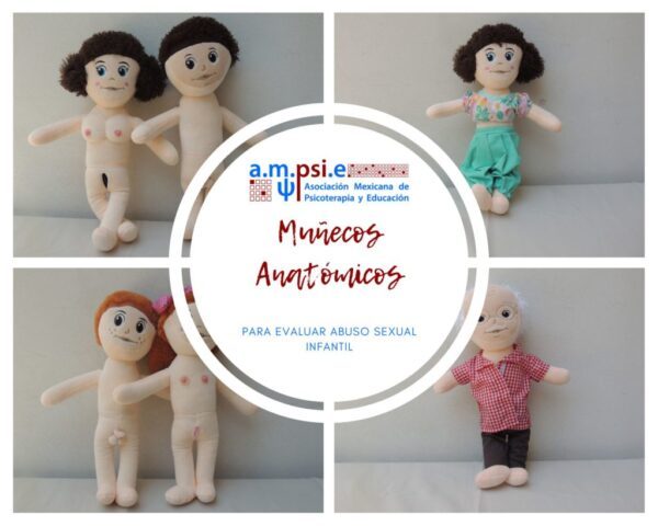 Muñecos anatómicos (Familia de 4) - Imagen 4