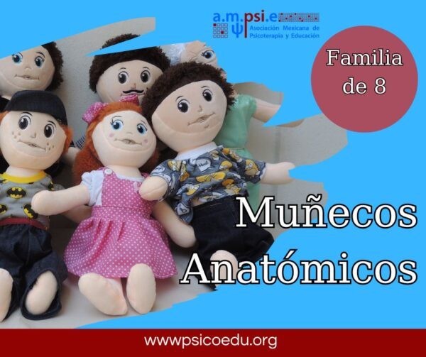 Muñeco anatómico (Individual) - Imagen 14