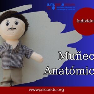 Muñeco anatómico (Individual)