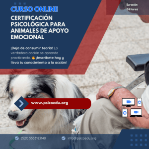 Certificación Psicológica para Animales de Apoyo Emocional: Valoración y Procedimientos