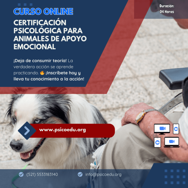 Certificación Psicológica para Animales de Apoyo Emocional: Valoración y Procedimientos