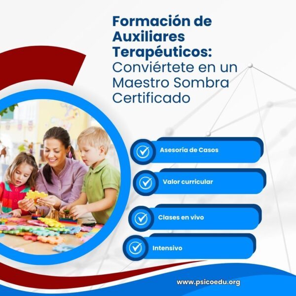 Diplomado de Formación de Auxiliares Terapéuticos: Conviértete en un Maestro Sombra Certificado - Imagen 3